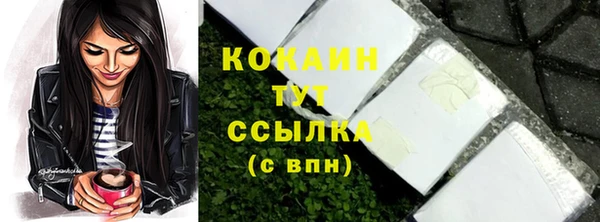 амф Надым