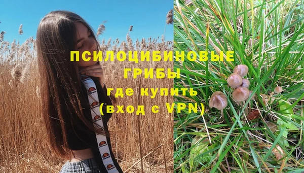 мдпв Наволоки