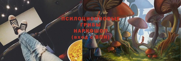 амф Надым
